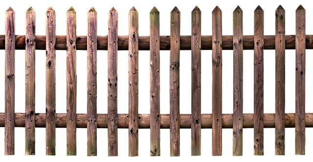 dřevo plot